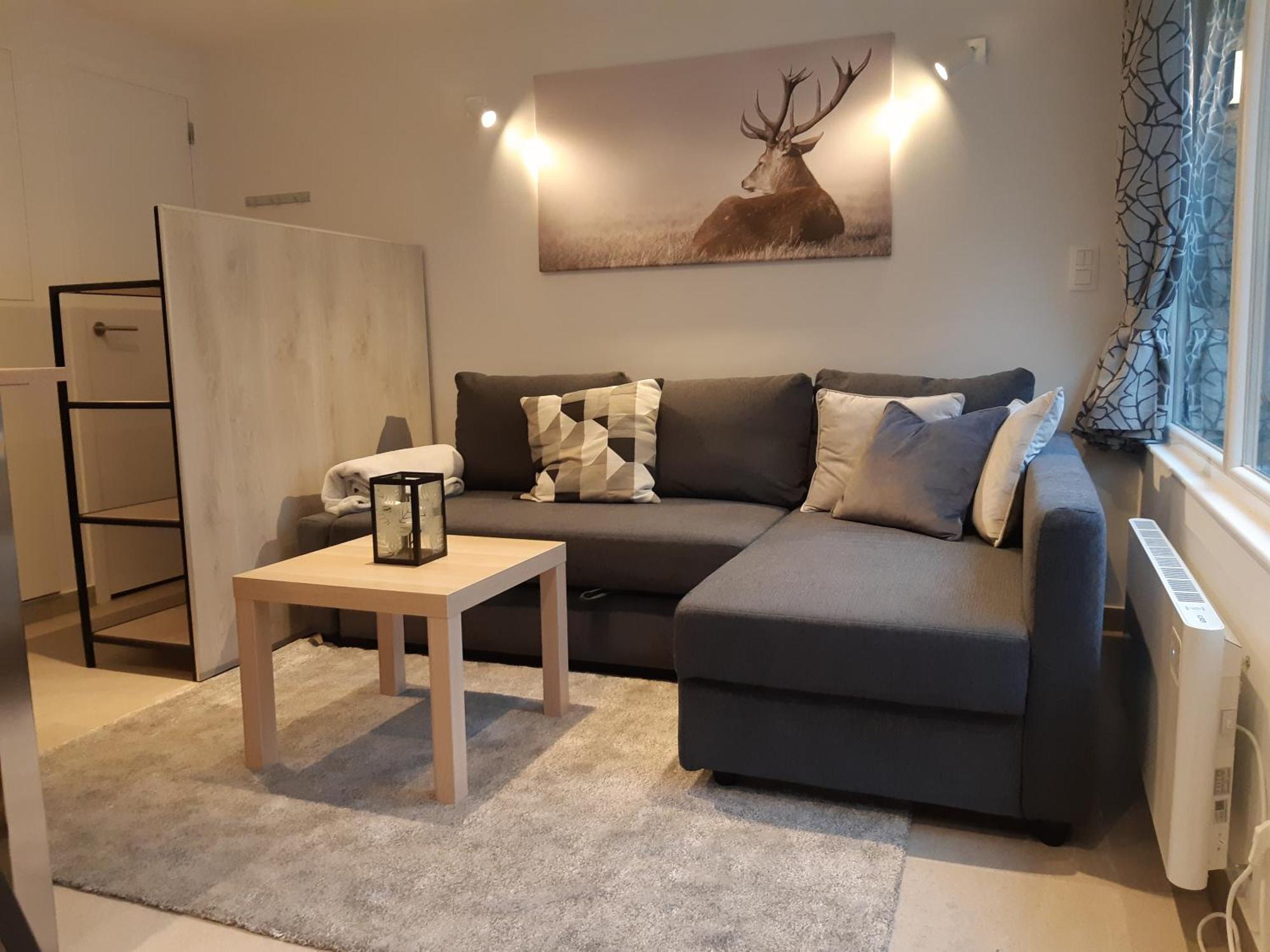 Terrasses De Malmedy F&L Triplex 214 Et Studio 320 Et 317 Et Studio Superieur 340 Quarto foto